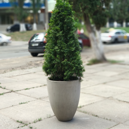 Вазон для квітів та великих вуличних рослин