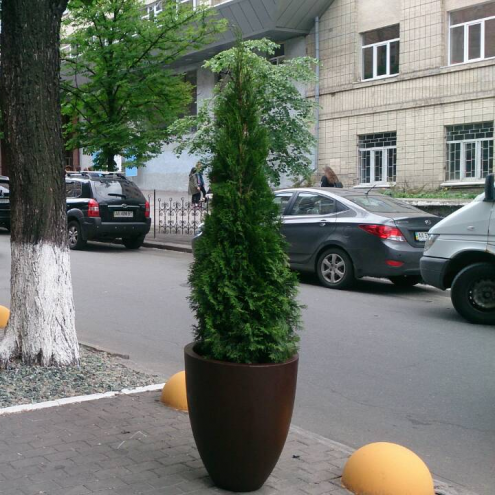 Фарбування та доставка бетонних вазонів Київ